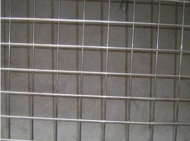 High Quality Hot Dipped Galvanized Steel Welded Bird Mesh