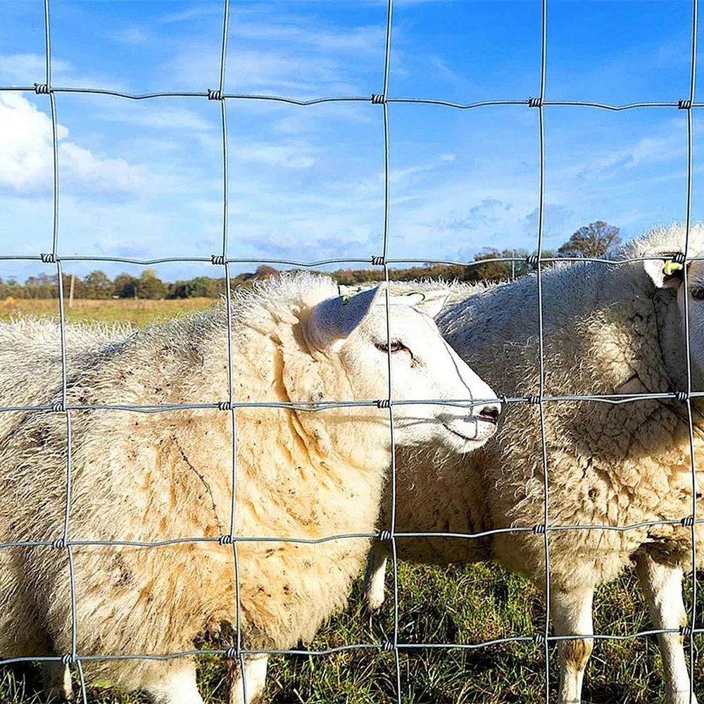 High Quality Steel Cattle Fence Farm Fencing Stainless  For Sale