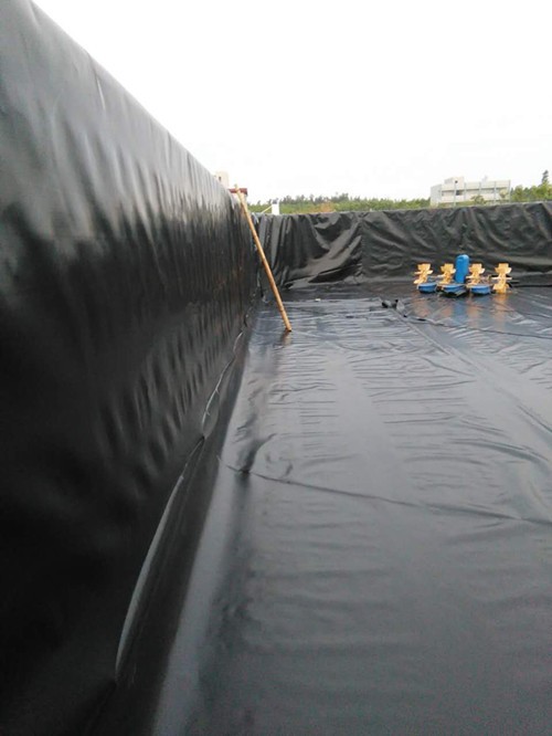 fish pond shrimp farm HDPE geomembrane liner pond liner 