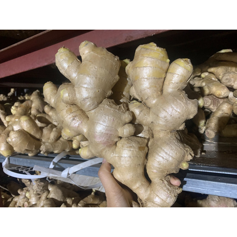 Air dried Ginger