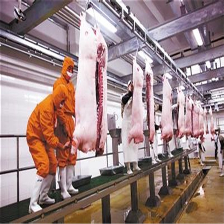 Pig slaughterhouse slaughtering equipment production line