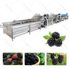 Fruit vegetable bubble washing machine industrial manufacturers