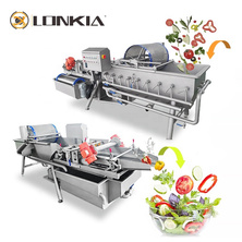 AutomaticVegetable Vortex Washing Machine Fruit Washing Machine 