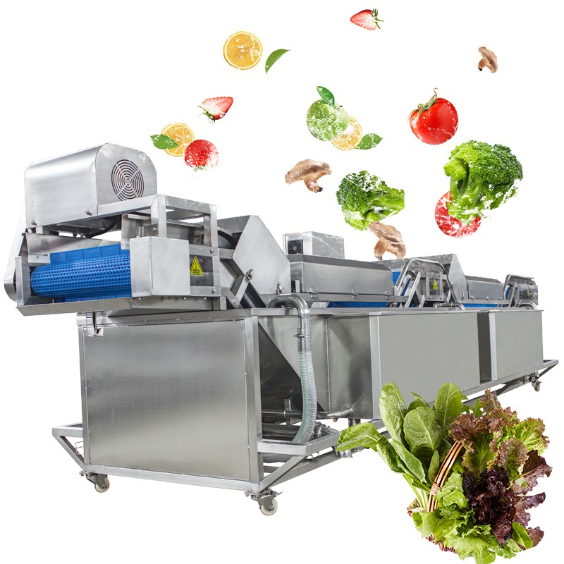 LONKIA Automatic Coriandar Celery Vegetable And Fruit Washing Machine