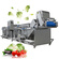 LONKIA Automatic Coriandar Celery Vegetable And Fruit Washing Machine