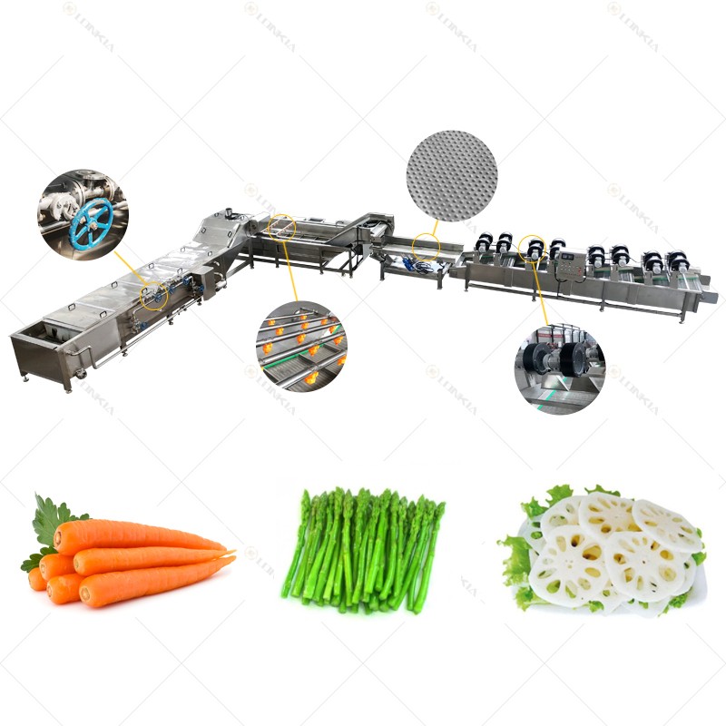 LONKIA Vegetable Fruit washing cutting blanching Processing line Steam 