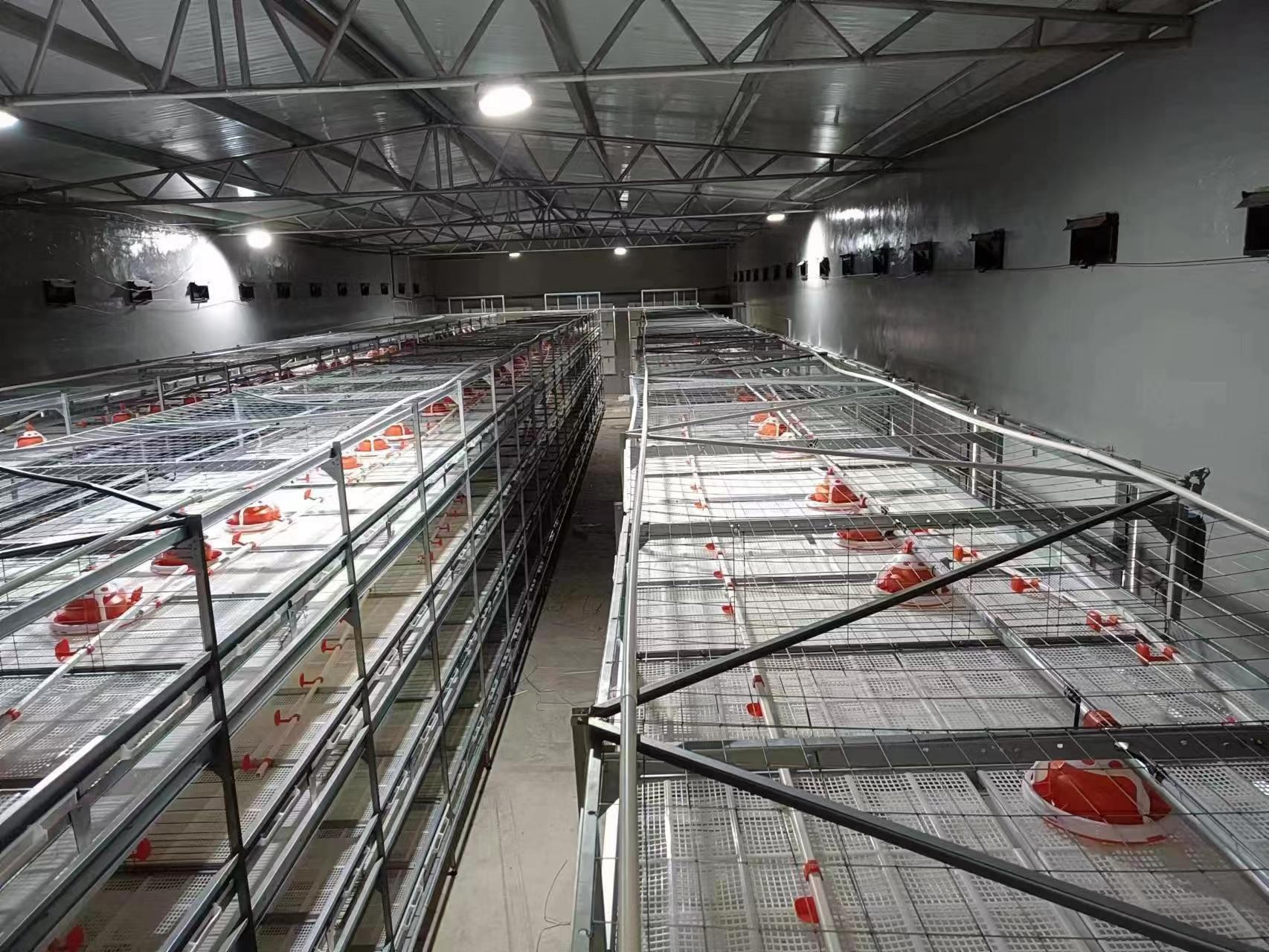 Automatic bird harvesting broiler cage