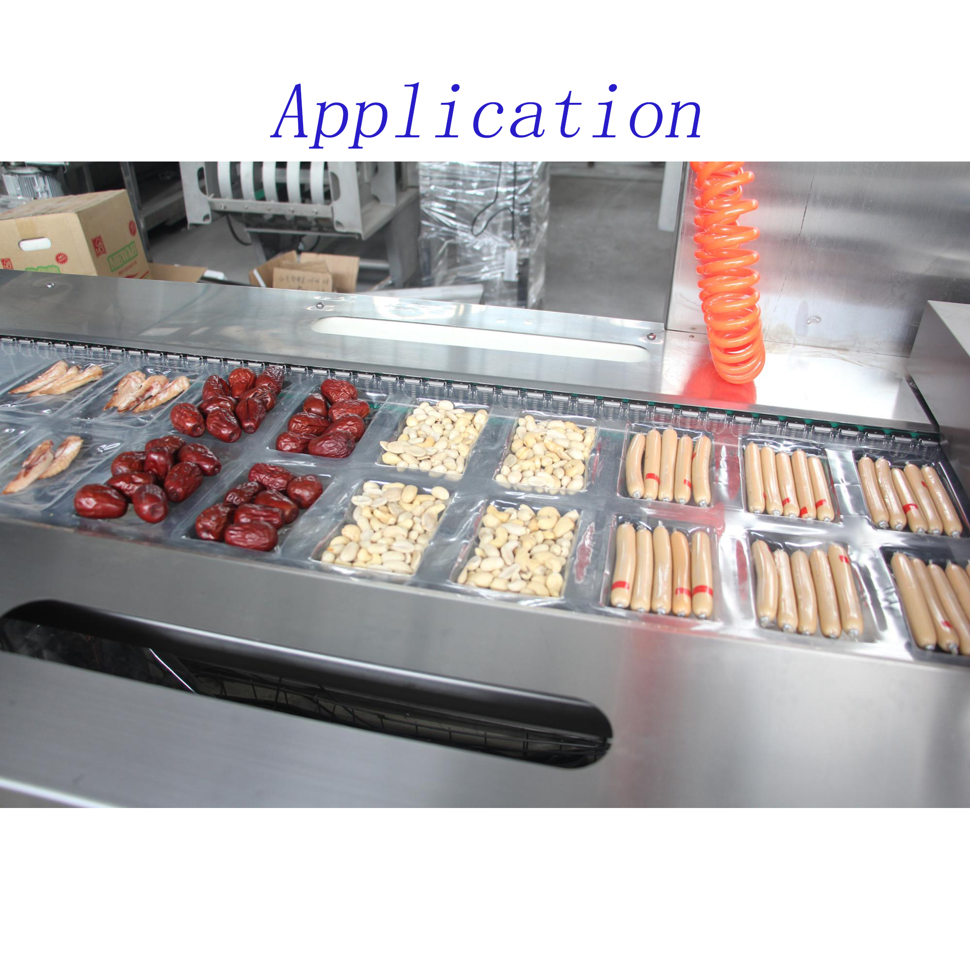 Sausage Meat fish vacuum packing machine vacuum seal Packaging Machine