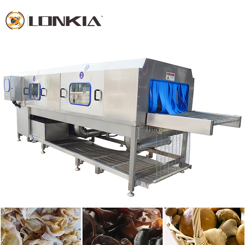 LONKIA Industrial High Pressure Ginger Turmeric Washer Machine