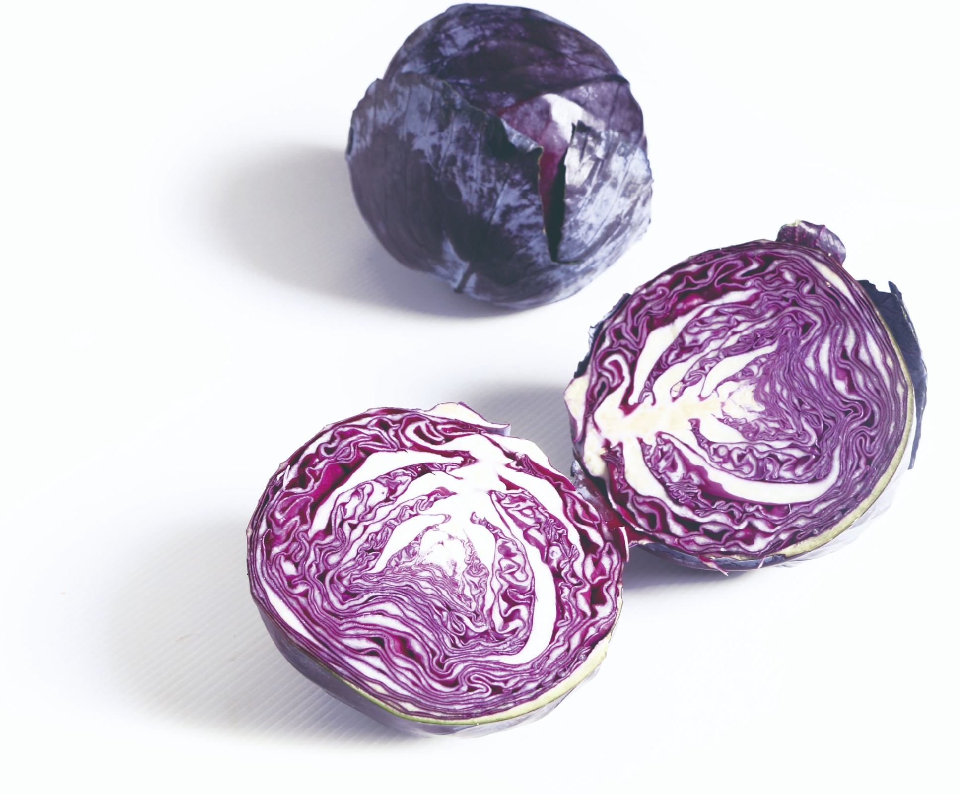 Purple cabbage