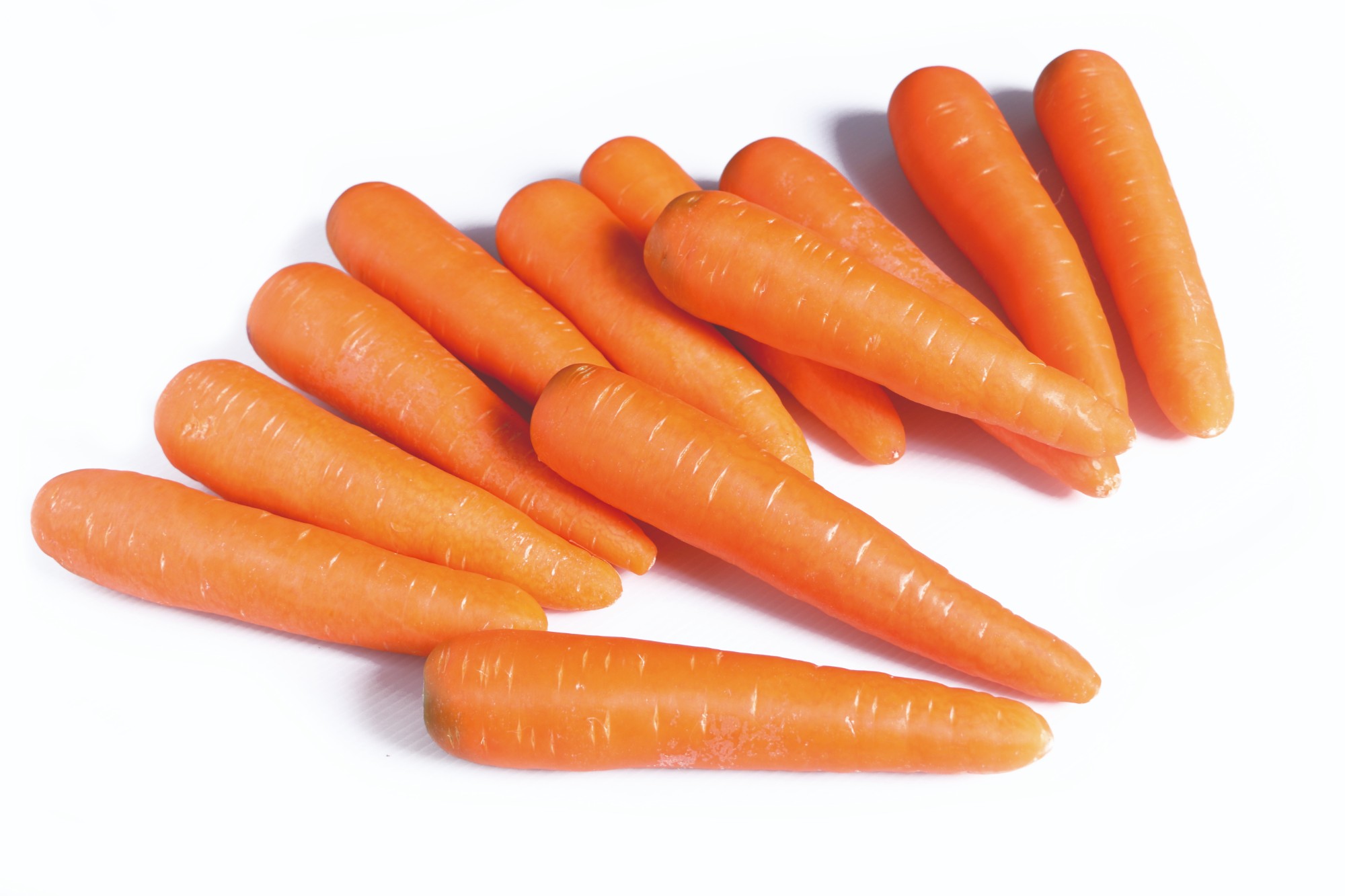 Carrot