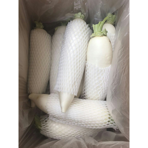 Radish