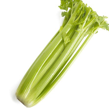 Fresh Cerely