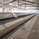 breeder chicken chain feeding system automatic poultry farm equipment