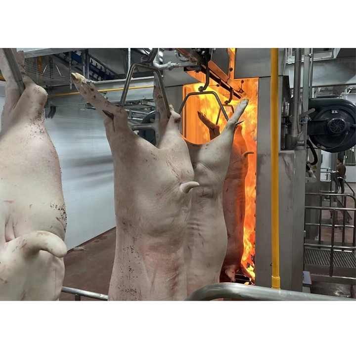 Modern Pig Slaughterhouse Equipment Abattoir Machine Line