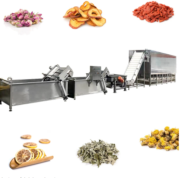 High-quality drying machine fruit drying room vegetable drying 