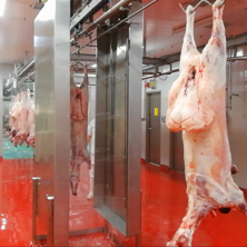Halal goat slaughterhouse slaughter equipment production line