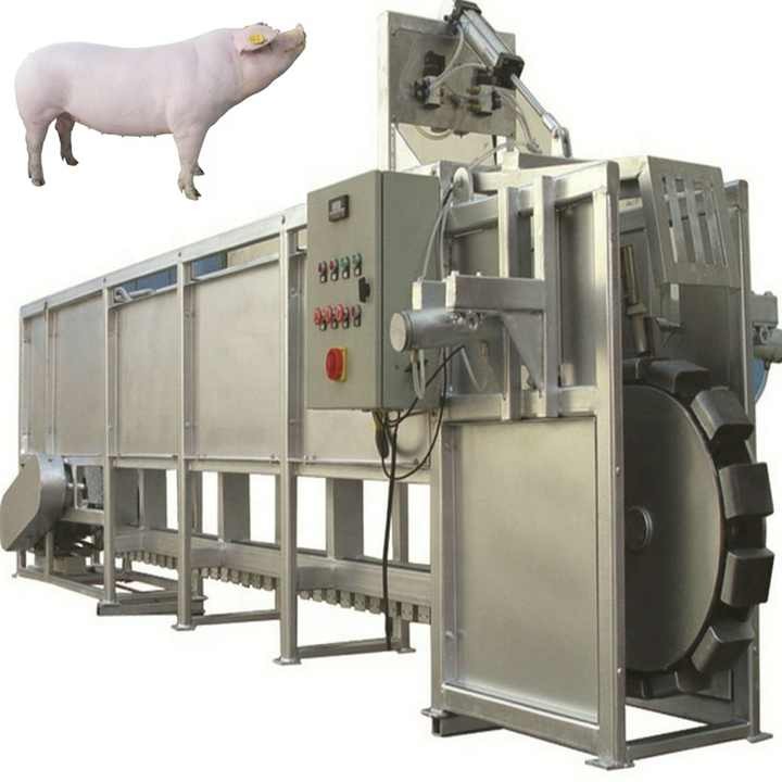 Sow slaughtering equipment, pig processing plant slaughtering line