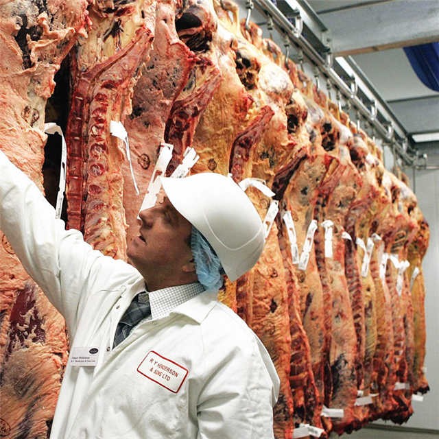 Halal slaughterhouse cattle processing and slaughtering equipment