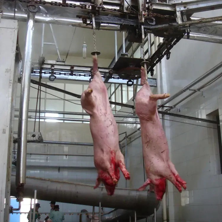 Large scale pig slaughtering assembly line supports customization