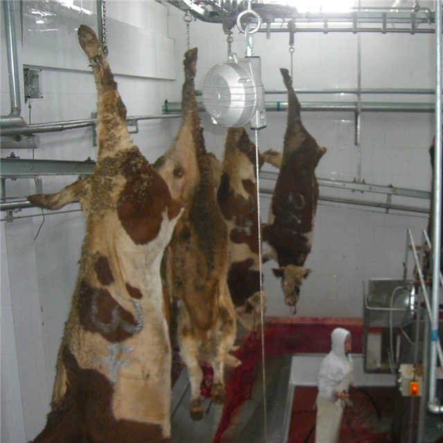 Overall design scheme of complete equipment for slaughtering cattle