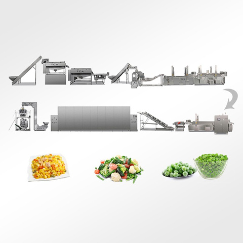TCA dehidrated fruit & vegetables lettuce cutter machine processing line