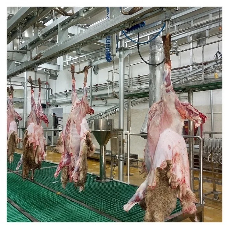 Large scale sheep processing and slaughtering assembly line equipment