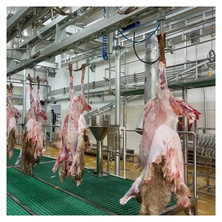 Large scale sheep processing and slaughtering assembly line equipment