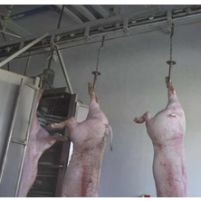 Complete slaughtering equipment, pig slaughterhouse production line