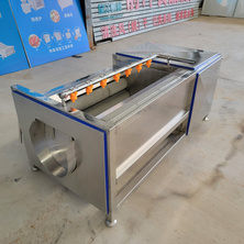 Lotus root fur brush cleaning machine, root fruit and vegetable peel