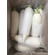 Radish