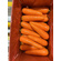 Fresh Carrot