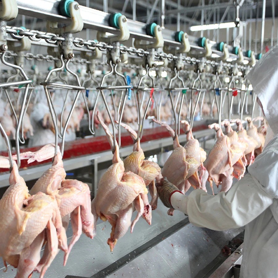 Chicken slaughtering production line and poultry slaughtering equipment