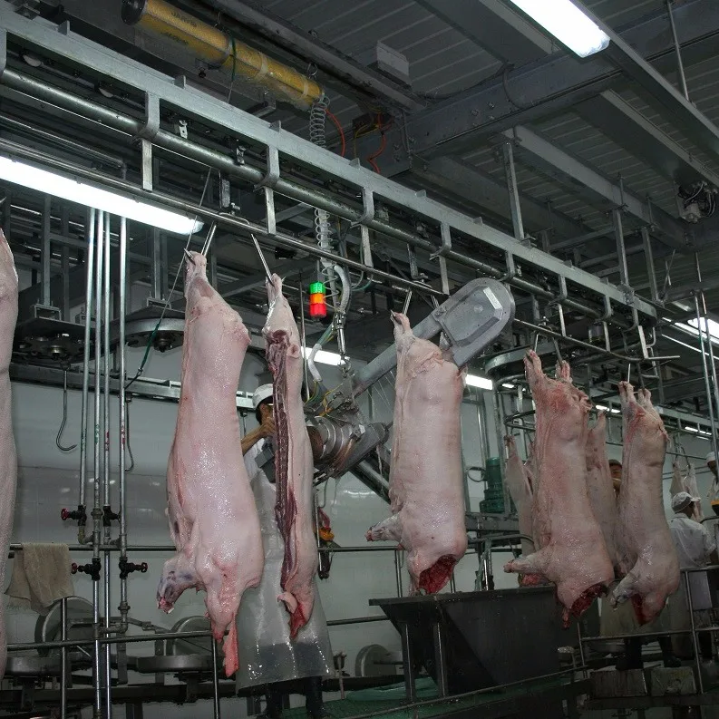 Pig processing plant slaughtering equipment sow slaughterhouse