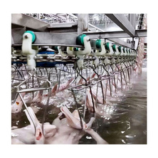 TCA poultry slaughtering house defeathering processing equipment machine