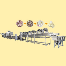 TCA Garlic Peeling Processing Machines Garlic Powder Production Line