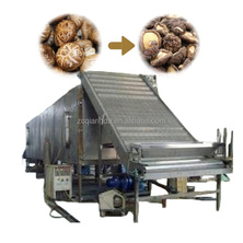 Food drying equipment production line