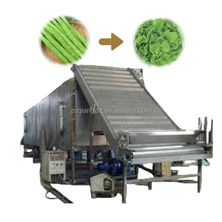 Food drying machine dried fruit machine production line