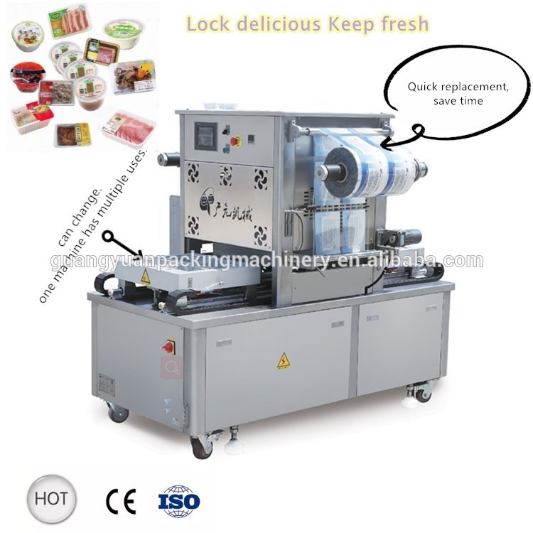 Skin vacuum seal machine vacuum sealing machine VSP MAP package