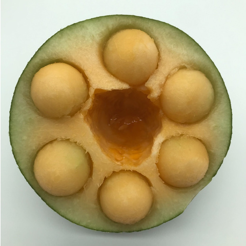 FRESH MUSK MELON/ROCK MELON/ HIGH QUALITY