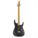 Eart Guitars, DMX-10, Roasted Maple Neck Electric Guitars