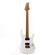 Eart Guitars, DMX-10, Roasted Maple Neck Electric Guitars