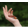 brown bead bracelet