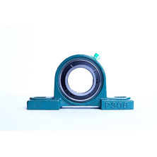 insert bearing with housing UCP309
