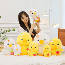 Buy cute ducks that can be called out